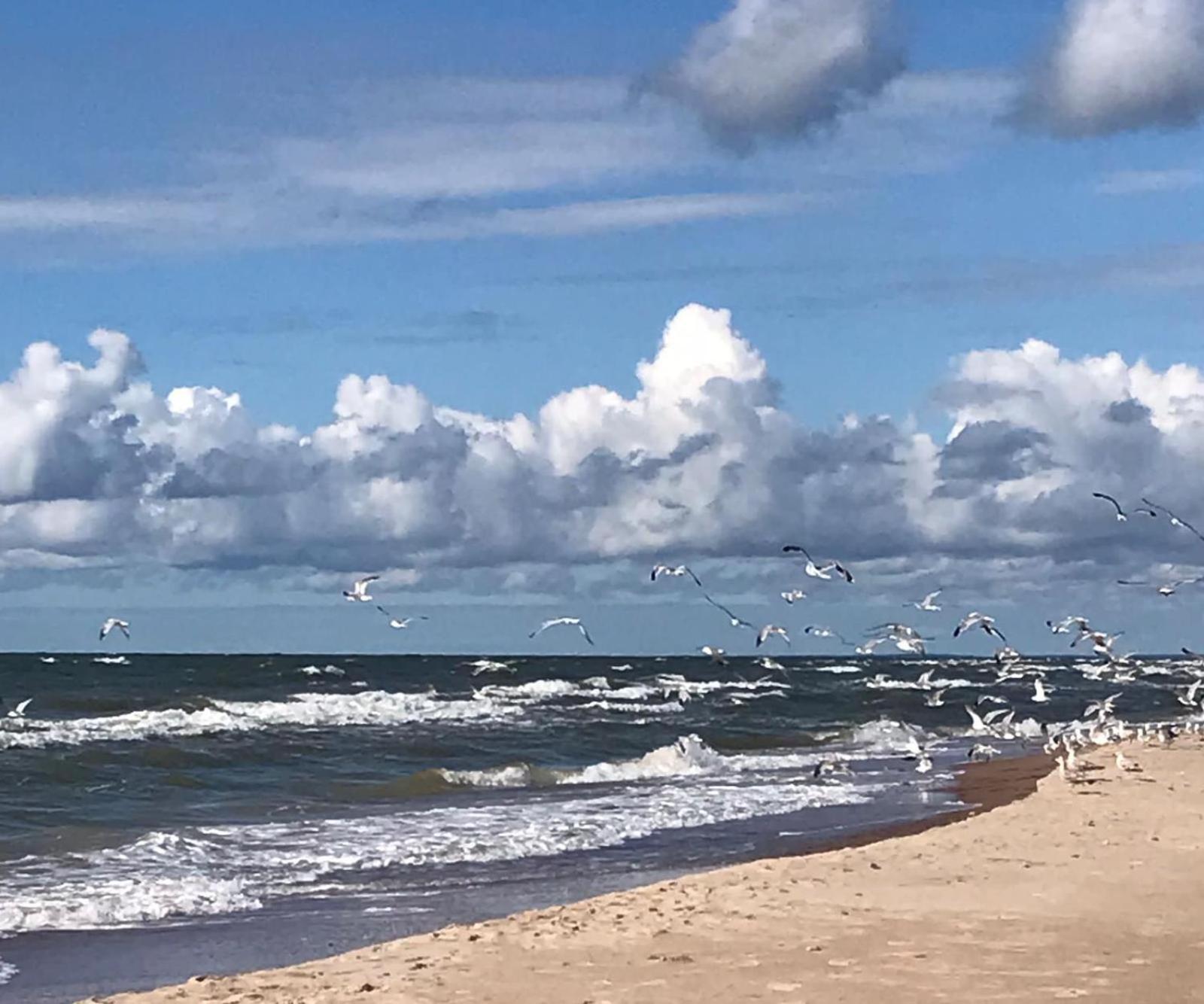 Vilnisi Lägenhet Ulmale Exteriör bild